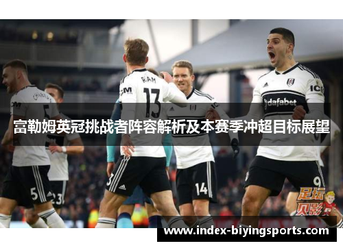 富勒姆英冠挑战者阵容解析及本赛季冲超目标展望